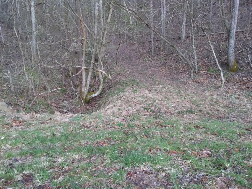 Photo #2: Tbd Bristol Hwy