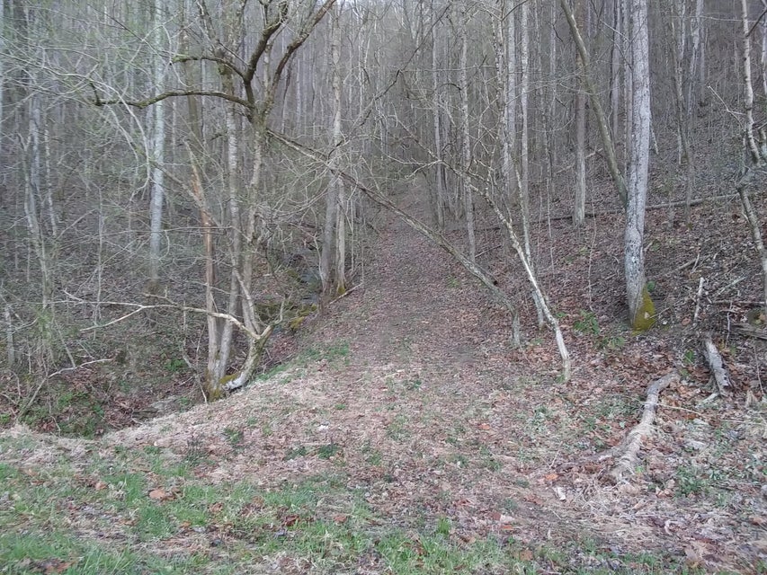 Photo #3: Tbd Bristol Hwy