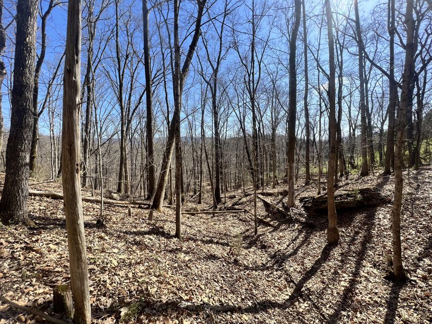 Photo #3: 000 Gap Creek Rd
