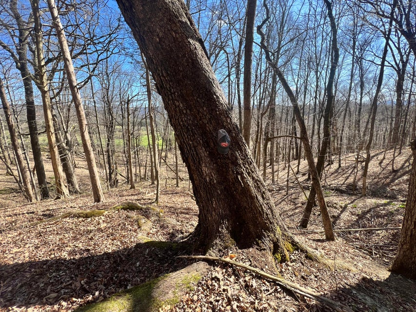 Photo #6: 000 Gap Creek Rd