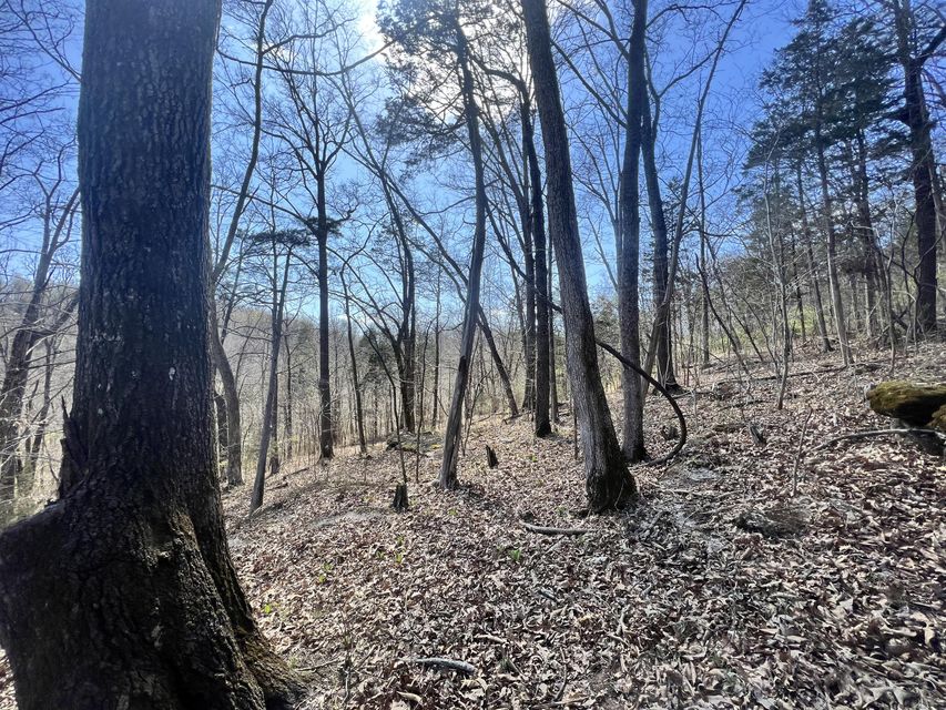 Photo #13: 000 Gap Creek Rd