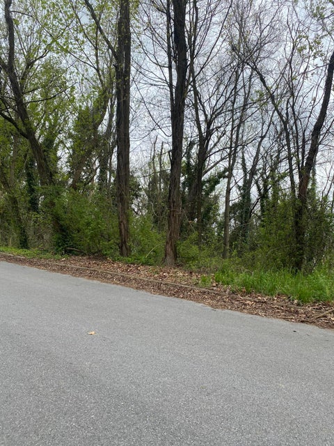 Photo #3: 0 Cedar Street Street
