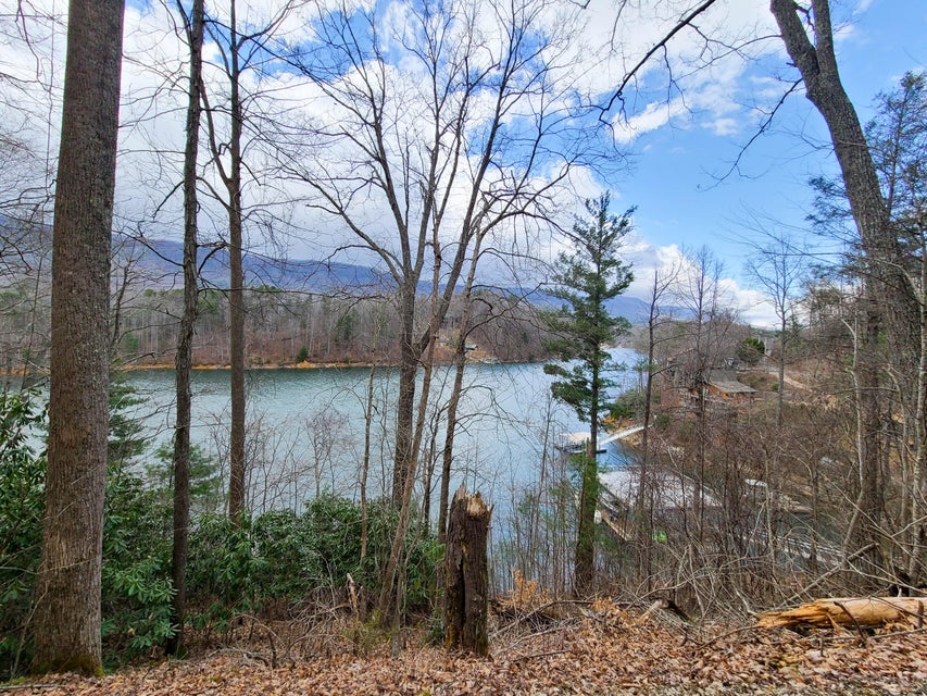 Photo #5: Tbd Coves Edge Drive
