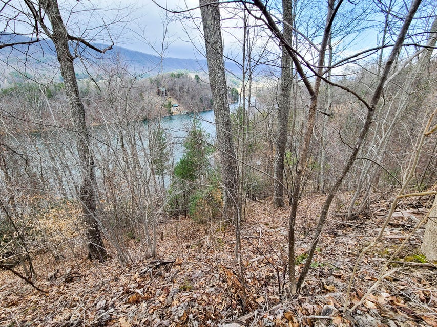 Photo #15: Tbd Coves Edge Drive