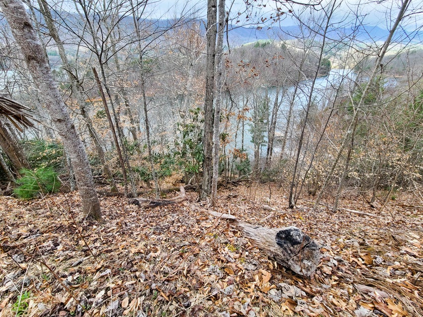 Photo #16: Tbd Coves Edge Drive