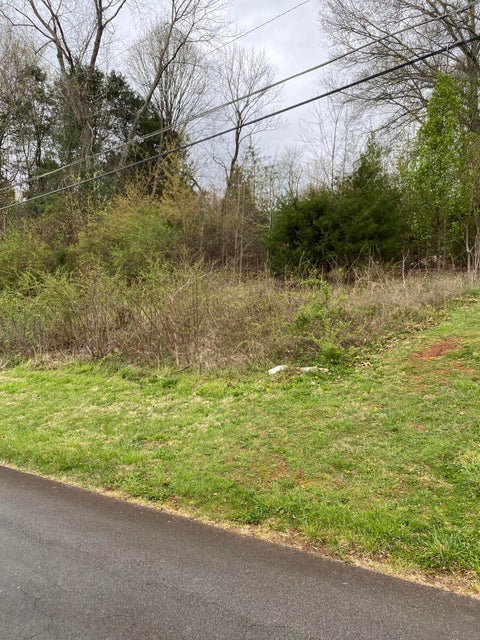 Photo #3: 0 Twin Oaks Dr. Drive