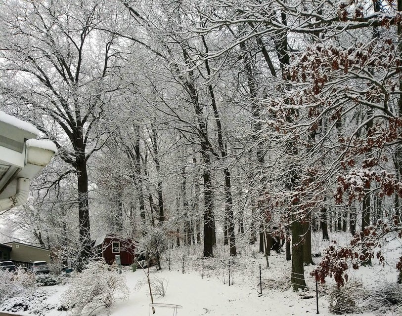 Photo #6: 356 Lories Lane