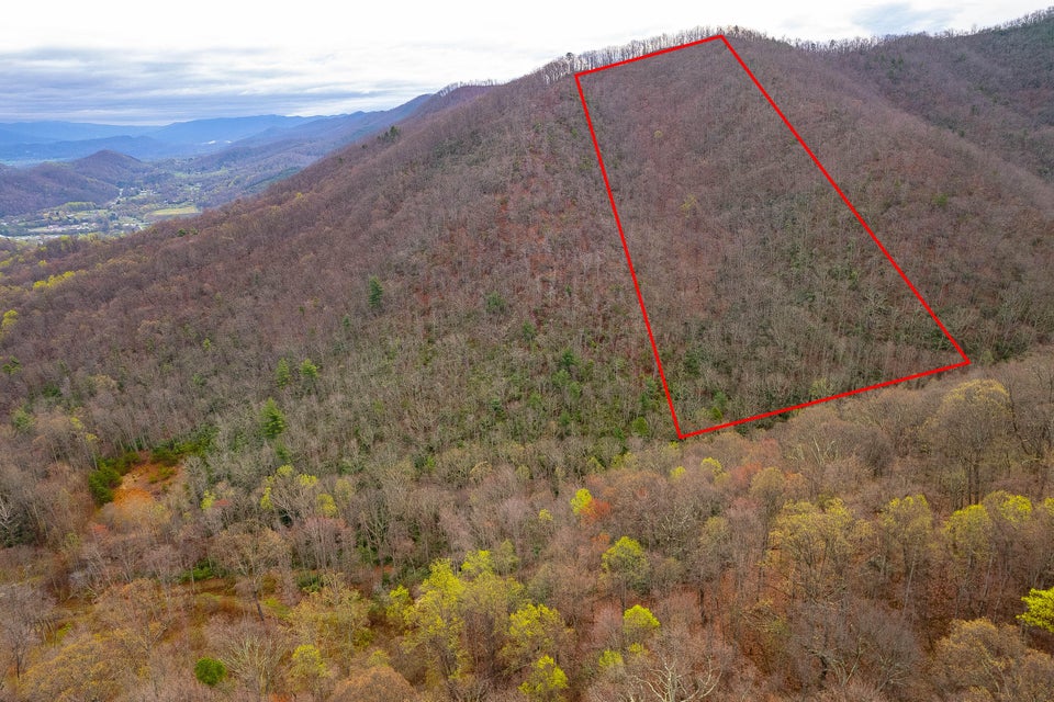 Photo #2: Tbd Of Long Hollow Road