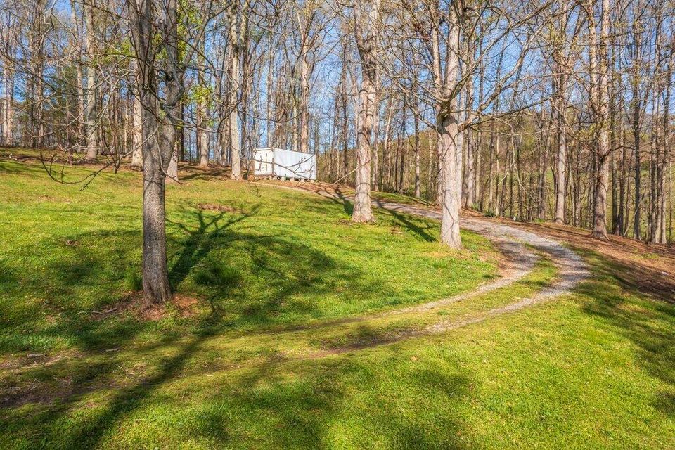 Photo #15: 557 Bear Hollow Road