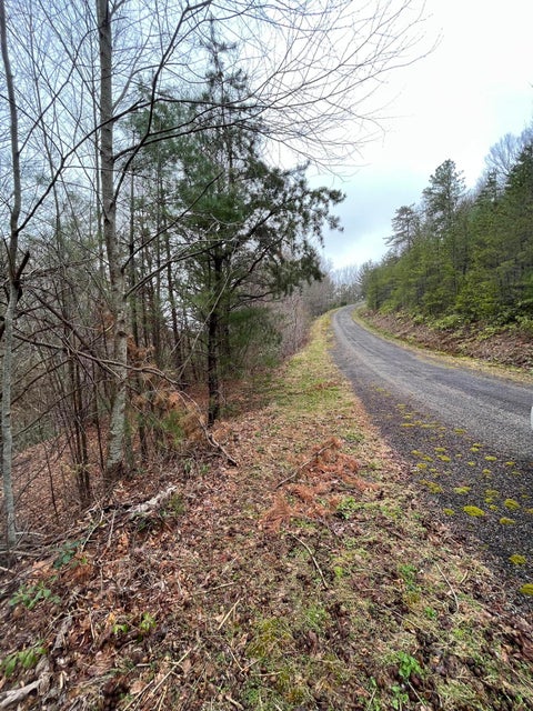 Photo #3: Tbd Locust Gap Road