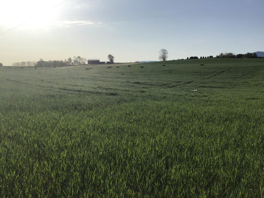 Photo #8: 2.63 Ac Earnest Road