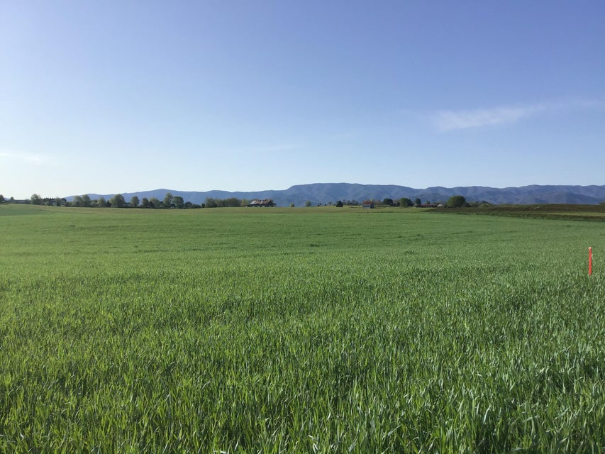 Photo #16: 2.63 Ac Earnest Road