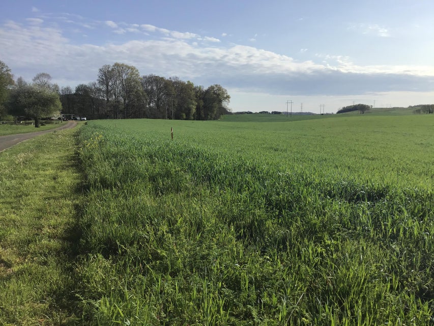 Photo #20: 4.32 Ac Earnest Road