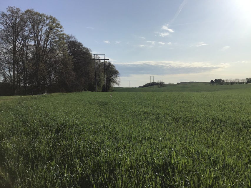 Photo #5: 2.91 Ac Earnest Road