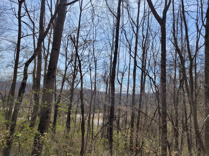 Photo #8: Tbd Highway 11w
