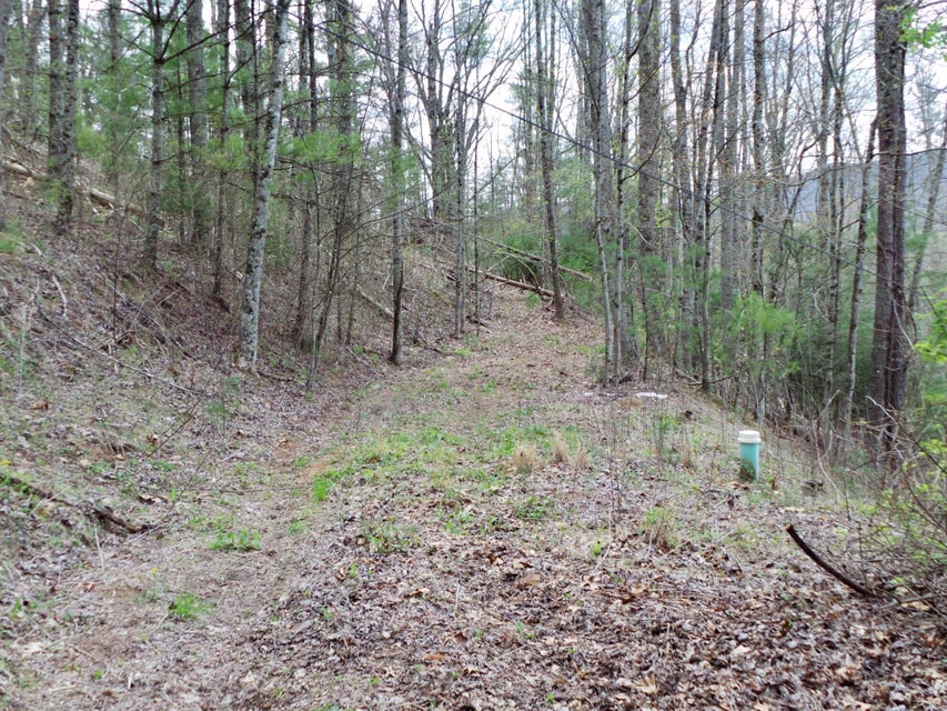 Photo #9: 48 & 49 Mountain Loop Road