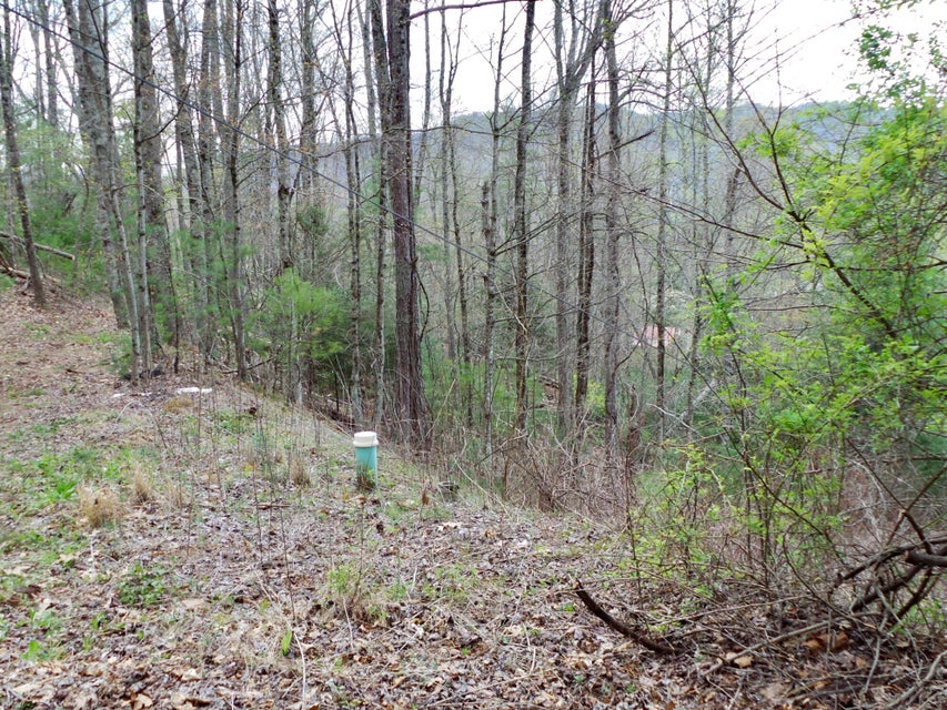 Photo #12: 48 & 49 Mountain Loop Road