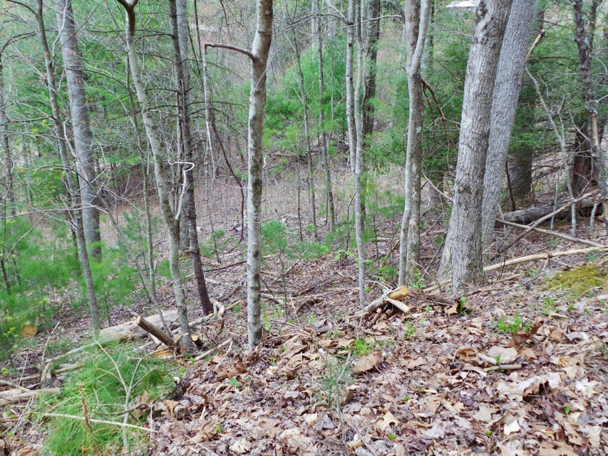 Photo #8: 48 & 49 Mountain Loop Road