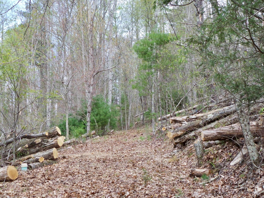 Photo #40: 48 & 49 Mountain Loop Road