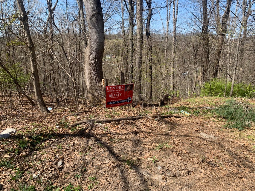 Photo #6: Tbd Cedar Hills Drive