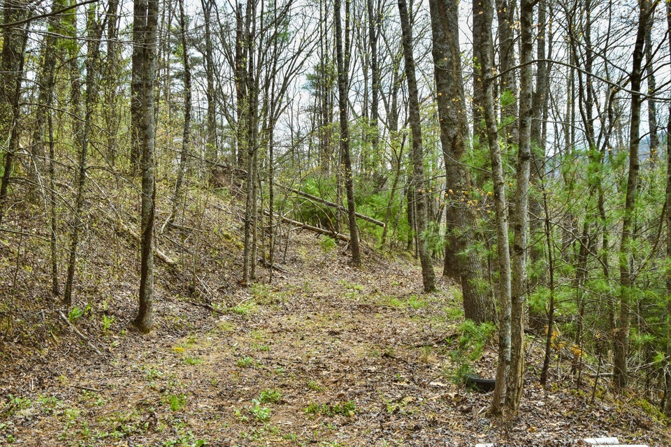 Photo #14: 48 & 49 Mountain Loop Road