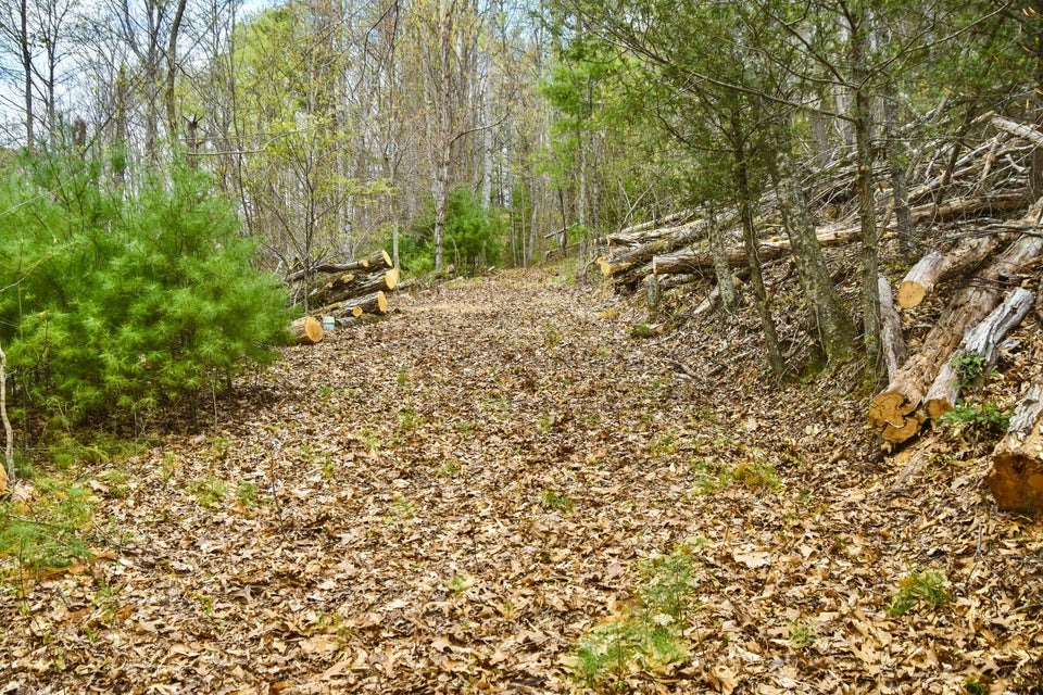Photo #19: 48 & 49 Mountain Loop Road