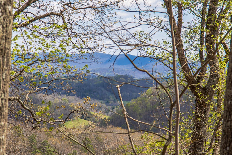 Photo #19: 760 Walkers Creek Road
