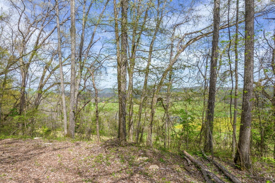 Photo #7: 00 Doty Chapel Road