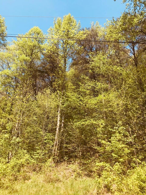 Photo #8: Lot 12 Moore Road