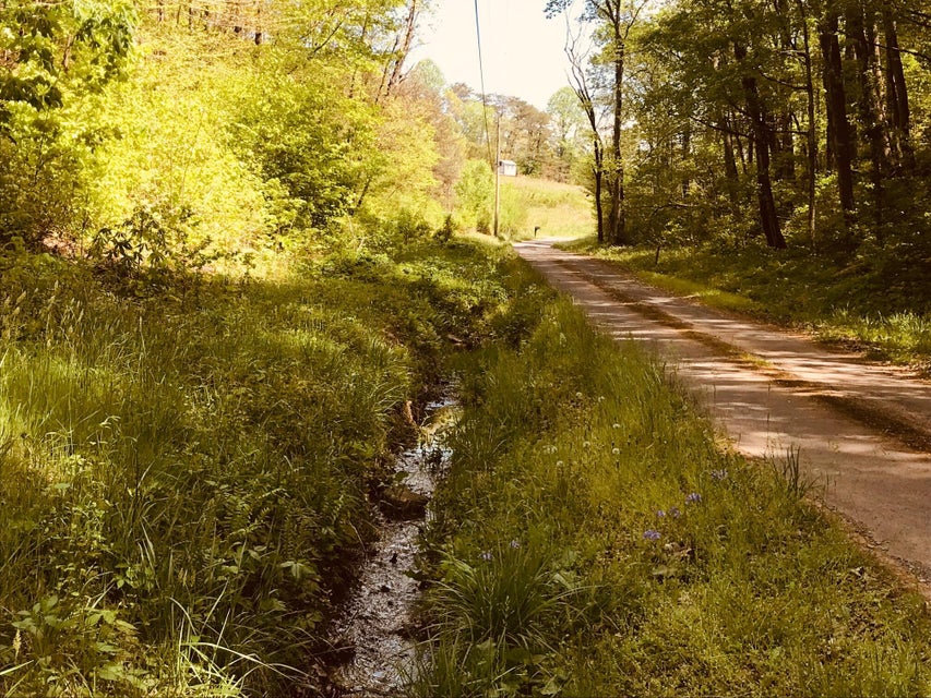 Photo #12: Lot 12 Moore Road