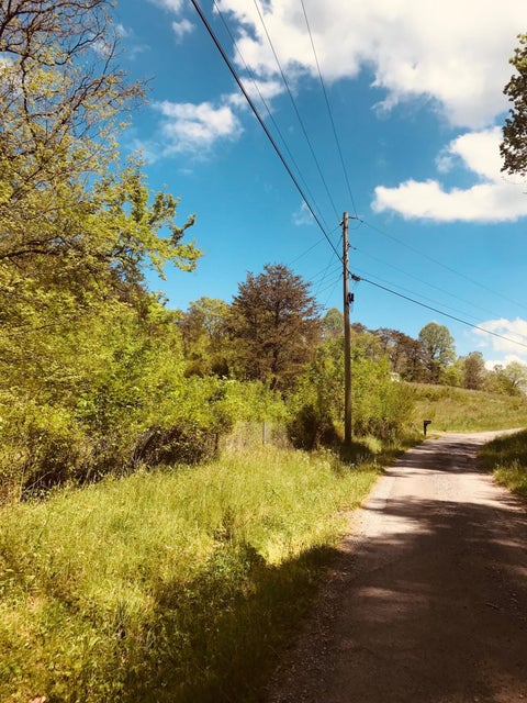 Photo #16: Lot 12 Moore Road