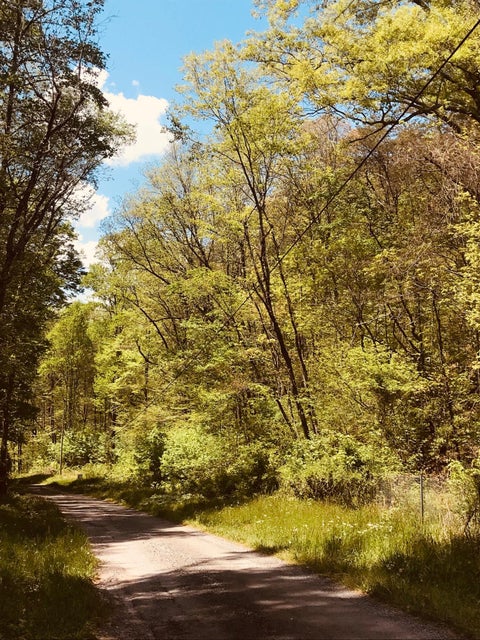 Photo #19: Lot 12 Moore Road