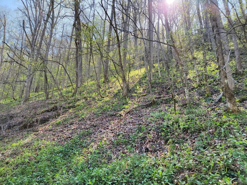Photo #2: Tbd Copperhead Hollow Road