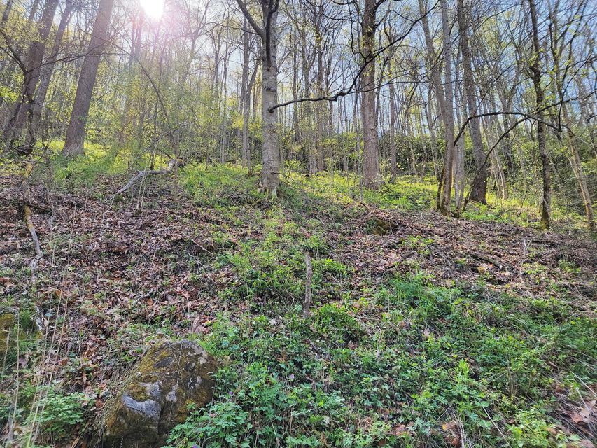 Photo #7: Tbd Copperhead Hollow Road