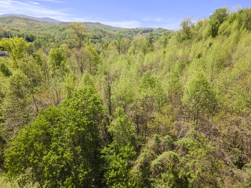 Photo #26: 5109 Unicoi Drive
