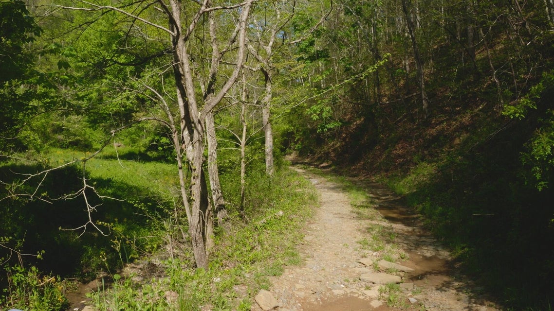 Photo #5: 104 Acres Ben Hill Road