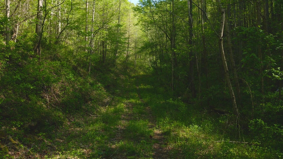 Photo #9: 104 Acres Ben Hill Road