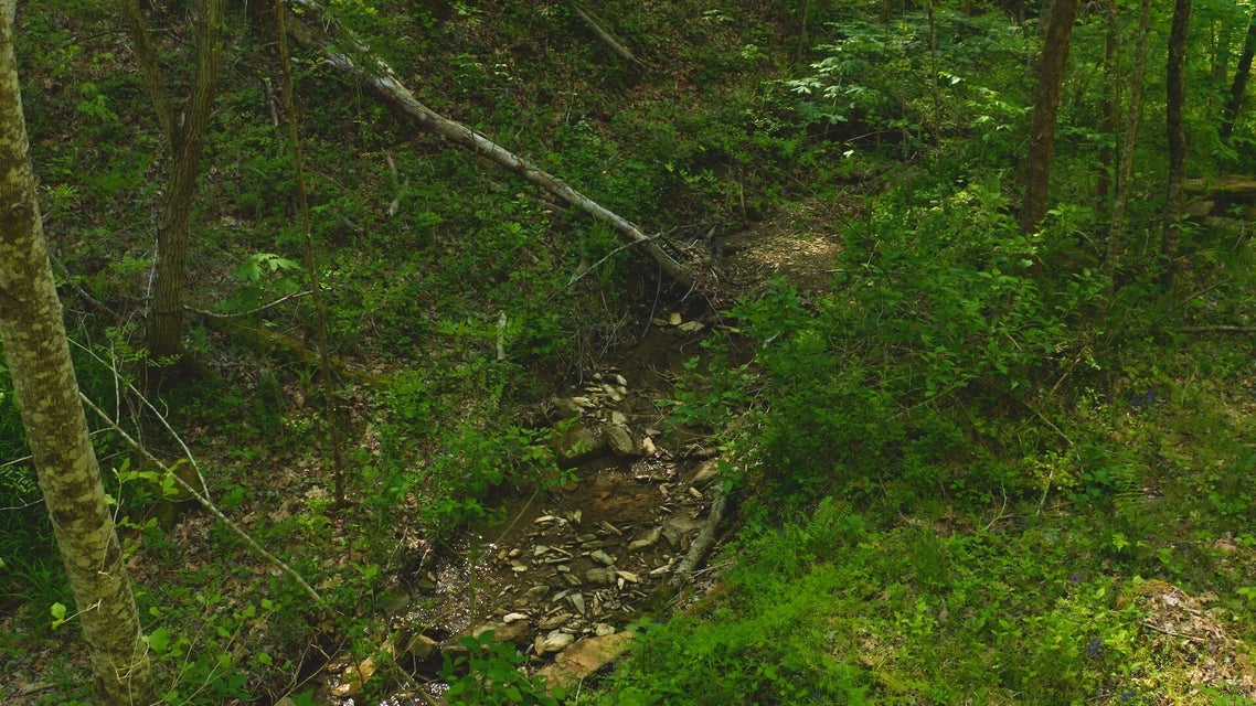Photo #10: 104 Acres Ben Hill Road