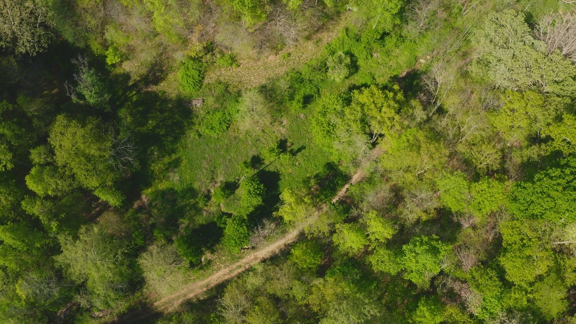 Photo #20: 104 Acres Ben Hill Road
