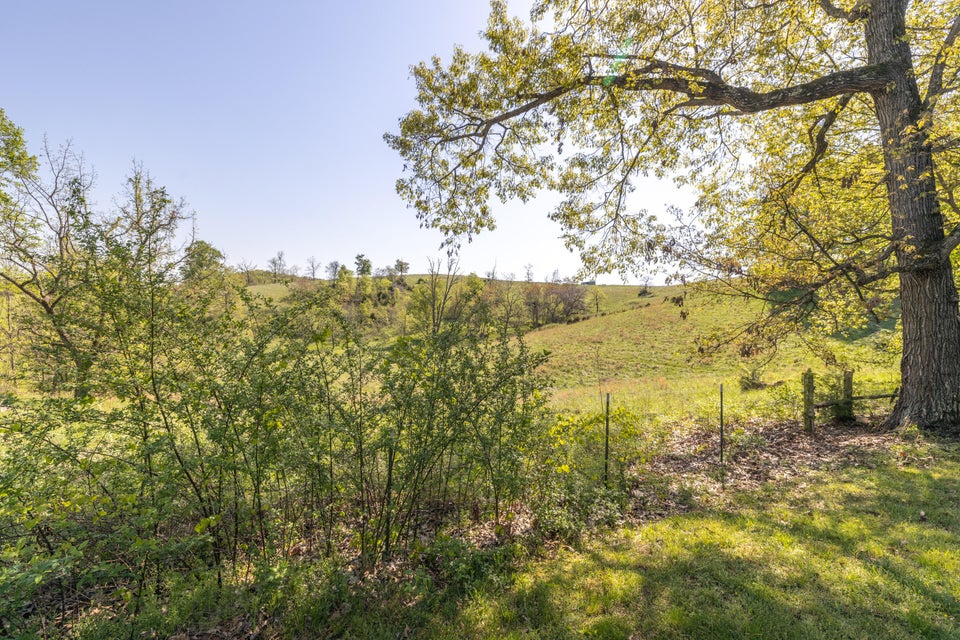 Photo #27: 736 Indian Grove Lane