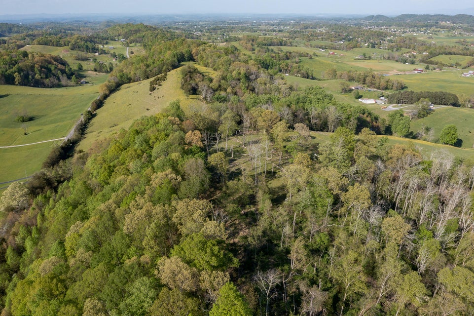 Photo #6: Tbd Woodmont Road