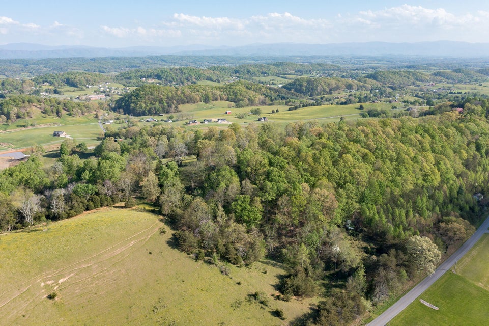 Photo #24: Tbd Woodmont Road