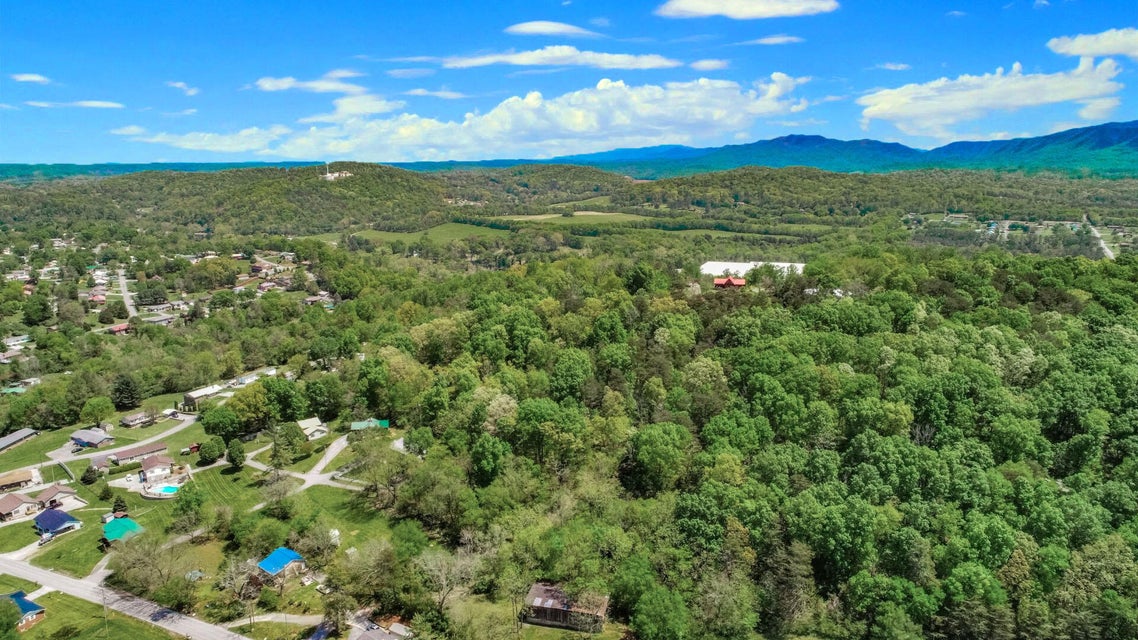 Photo #6: 6.14 Ac Morrell Springs Road