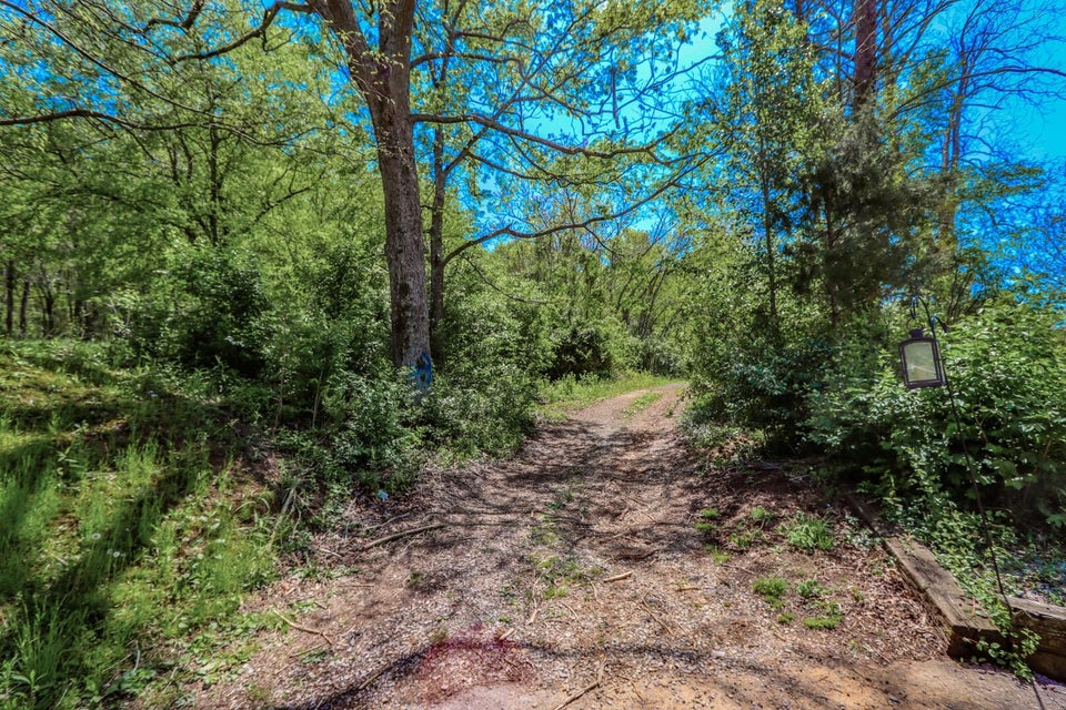 Photo #23: 6.14 Ac Morrell Springs Road