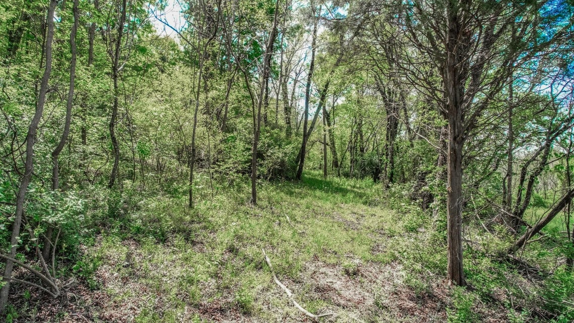 Photo #25: 6.14 Ac Morrell Springs Road