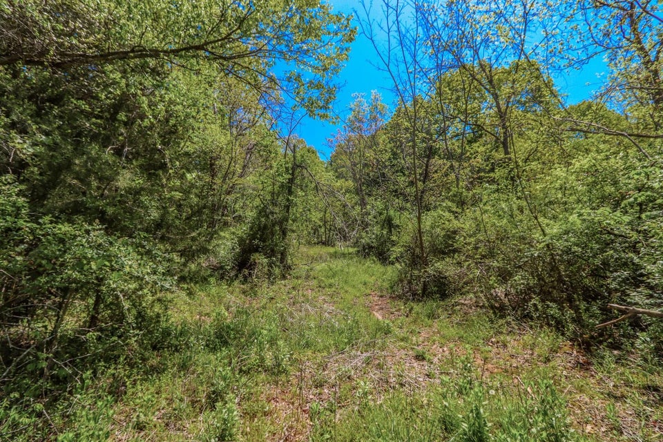 Photo #29: 6.14 Ac Morrell Springs Road