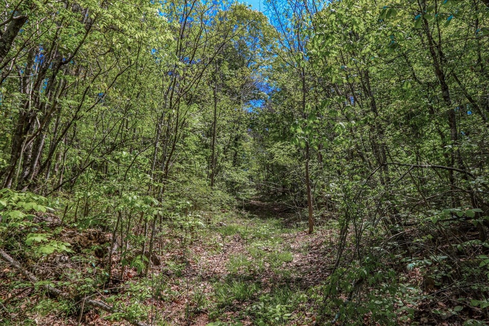 Photo #33: 6.14 Ac Morrell Springs Road