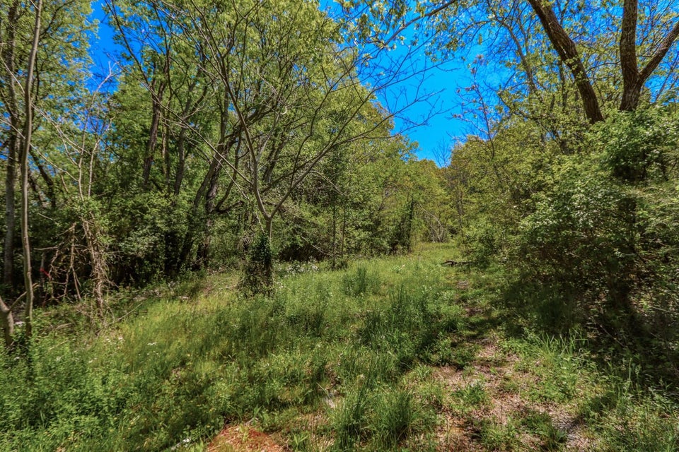 Photo #34: 6.14 Ac Morrell Springs Road