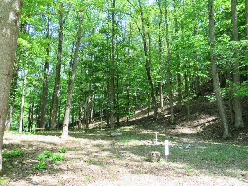 Photo #14: Lot 36 Five Oaks Cir