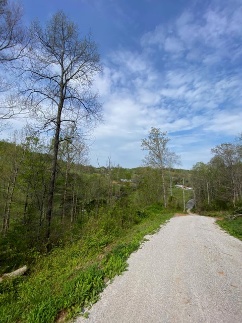 Photo #31: 260 Carr Ridge Road